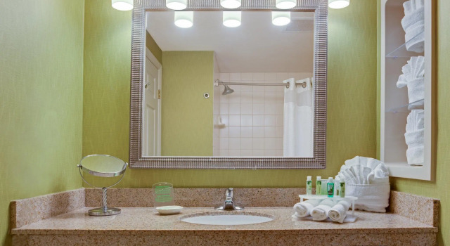 Двухместный номер Standard Holiday Inn Express Hotel & Suites New Tampa I-75 by IHG