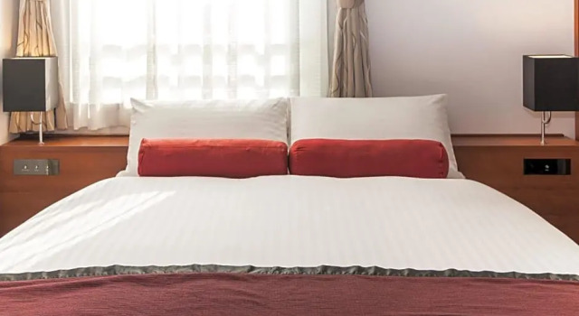 Номер Deluxe MYSTAYS Shin Urayasu Conference Center