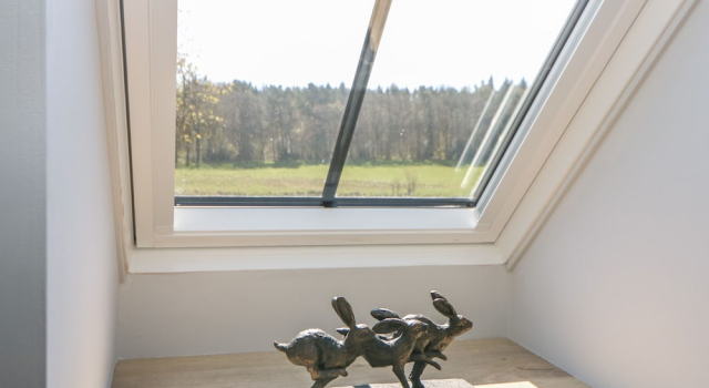Woodland View
