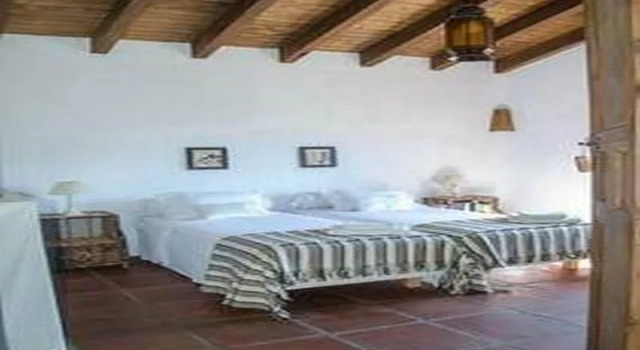 House in Malaga 101913