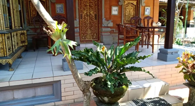 Ida Guest House, Prenota Affittacamere Sukawati Gianyar