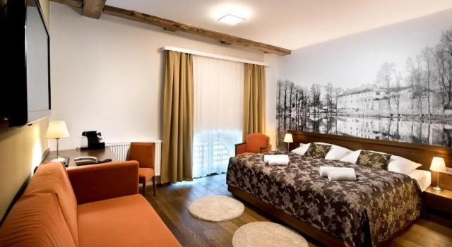 Двухместный номер Superior Hotel Chateau Orlice