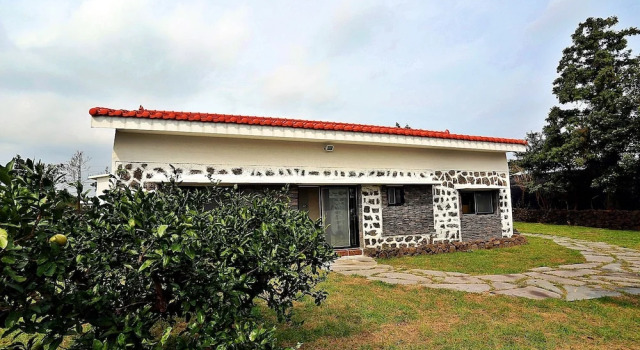DDobagi Pension