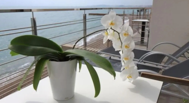 Двухместный номер Superior с балконом и с видом на море Villa Azur