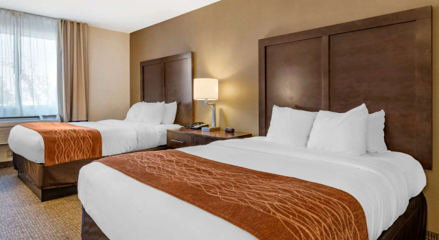 Четырёхместный номер Standard Comfort Inn Williamsport