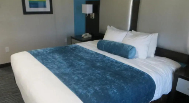 Люкс Best Western Plus Pleasanton Hotel