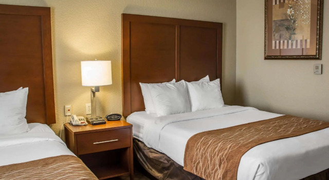 Четырёхместный люкс Comfort Suites San Antonio SeaWorld - Lackland AFB