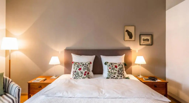 Двухместный номер Boutique Hotel Seegarten