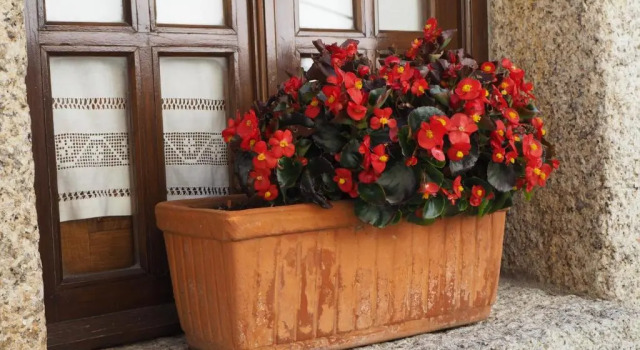 Коттедж с 2 комнатами Casa do Balcao