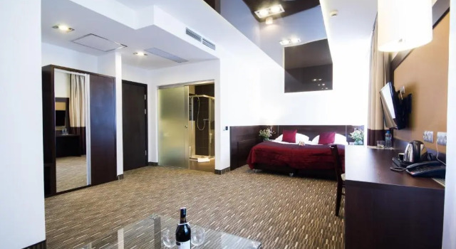 Park Hotel Diament Zabrze - Gliwice, Book Hotel Zabrze 