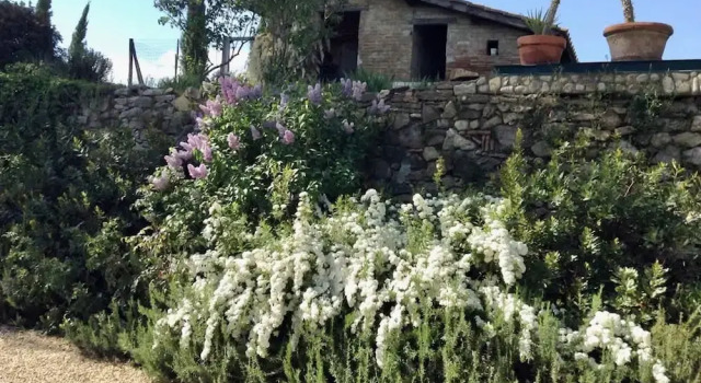 Вилла New Historic Tuscany Country House Retreat in a Vineyard Near Siena Villa Chiantissimo