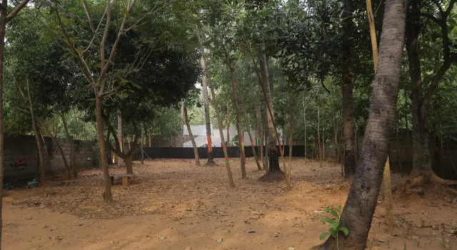 Auro farms