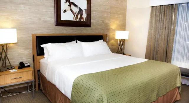 Номер Standard Holiday Inn Spearfish - Convention Center by IHG