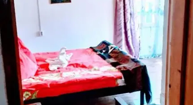 Номер Comfort LAILA Guest House