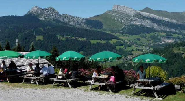 Апартаменты "CHALET LES ARAVIS" chalet et Appartements