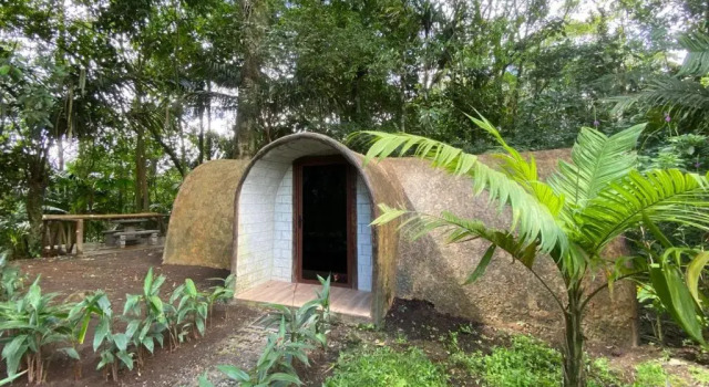 Апартаменты Rooms Flora y Fauna del Arenal