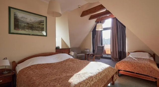 Двухместный номер Standard Hotel Skalny