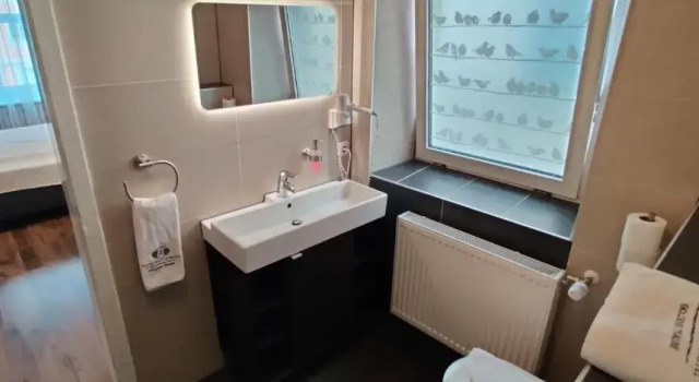 Семейный люкс Hotel Goldene Traube