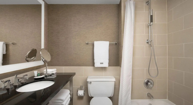 Четырёхместный номер Standard The Westin Dallas Fort Worth Airport