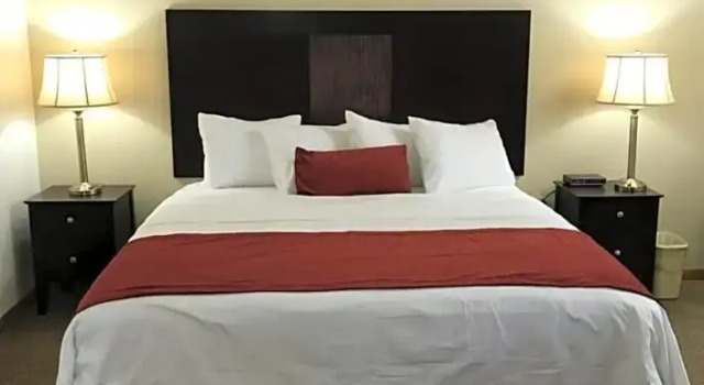 Студия Brentwood Motor Inn