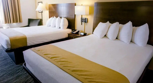 Четырёхместный номер Standard Pines Inn & Suites