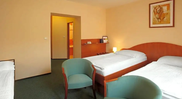 Номер Superior Hotel Palace