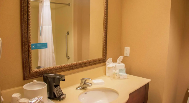 Четырёхместный номер Standard Hampton Inn Murphy