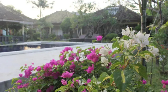 Taman Lilys Hotel, Boek Hotel Goedkope hotels in Bali