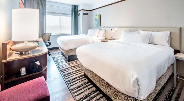 Четырёхместный номер Standard Hilton Garden Inn Minneapolis Airport Mall of America