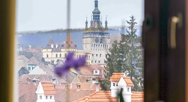Номер Standard Mercure Sighisoara Binderbubi Hotel & Spa