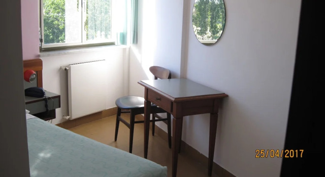 Одноместный номер Standard Hotel Le Pleiadi