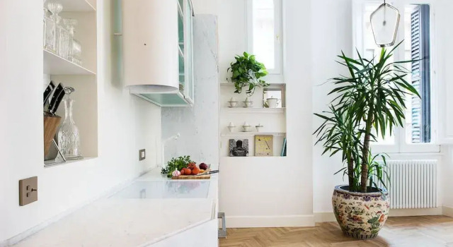 Temple Street Fabulous Apartment