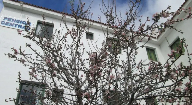 La Palma Hostel by Pension Central, Buchen Sie Hostel Günstige Hotels in La Palma