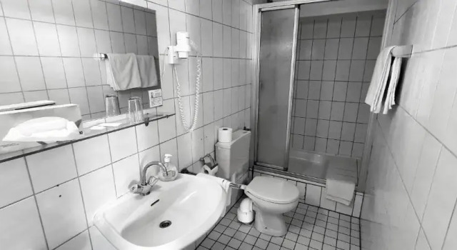 Номер Standard Historisches Hotel zum Schwan