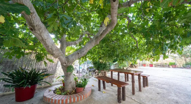 Номер Standard Hostal Vista a la Sierra