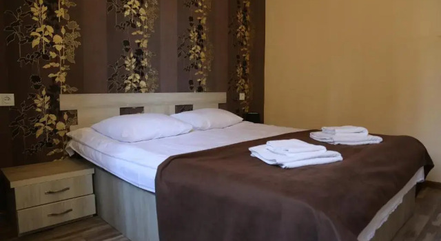 Двухместный номер Standard с балконом Hotel Svanseti