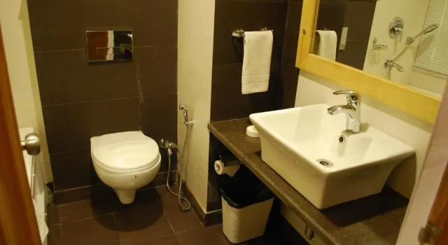 Двухместный номер Superior Bravia Hotel Manali Inn