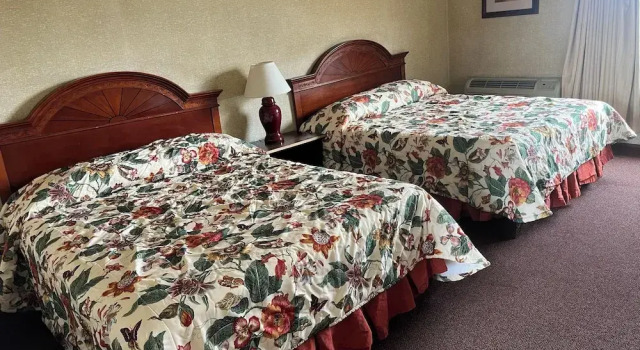 Номер Standard Sleeping Ute Mountain Motel