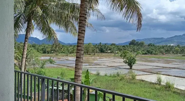 Sarali homestay