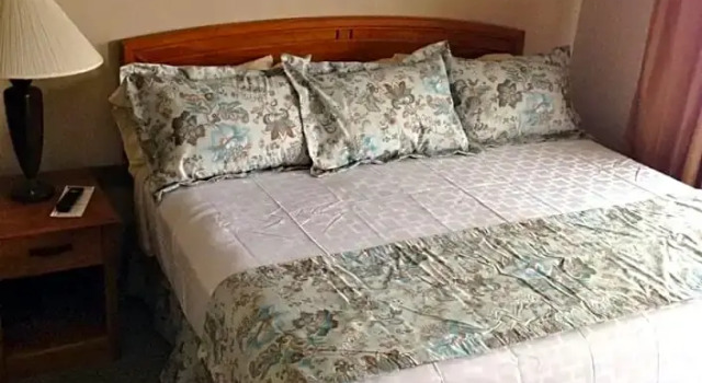 Двухместный номер Standard с видом на горы Mount Blue Motel