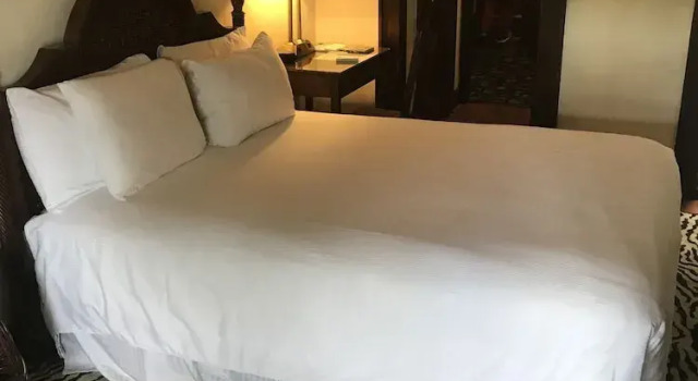 Трёхместный номер Deluxe Park Plaza Hotel Orlando - Winter Park