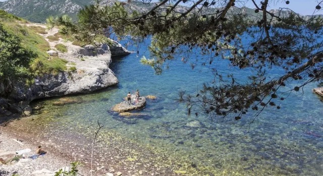 Summer Apartment in the Hilly Landscape of Oletta, Varaa Huoneisto Oletta 