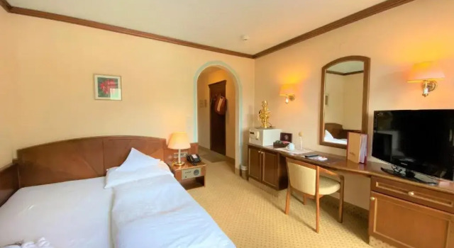 Одноместный номер Standard VALARA Alpine Art Hotel