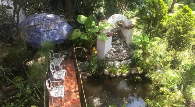 Villas Sol y Luna Coyoacan, Book Hotel Coyoacan 