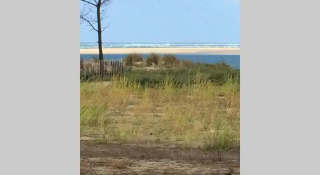 Коттедж Bassin d'Arcachon 3 chamb jardin, villa conviviale