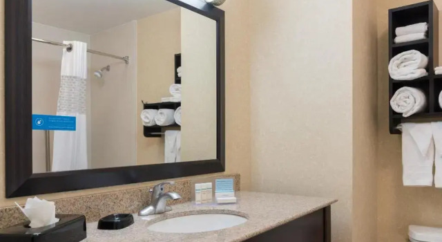 Люкс Hampton Inn Detroit Roseville