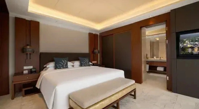 Двухместный люкс Xixi Hotel
