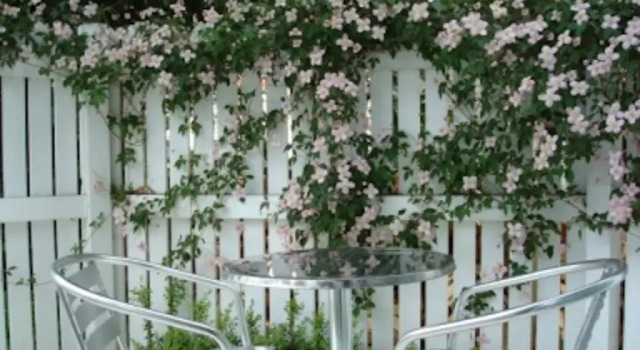 Студия Heriot Lane City Apartments