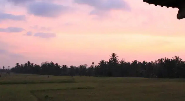 Villa Mangku in Ricefield