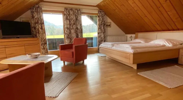 Номер Deluxe Pension Hohenau